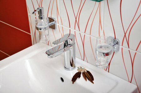  Rav Slezak Zambezi ZA026.5  