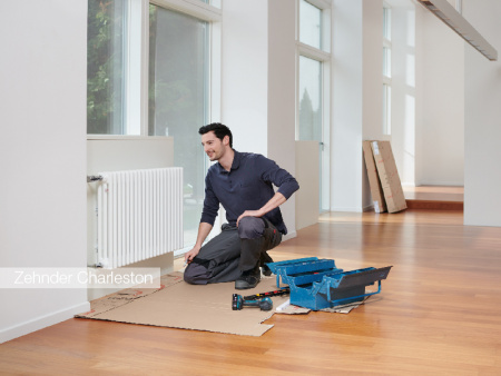 �������� �������� Zehnder Charleston Completto 2050/22 2-� ���������, ����������� 223