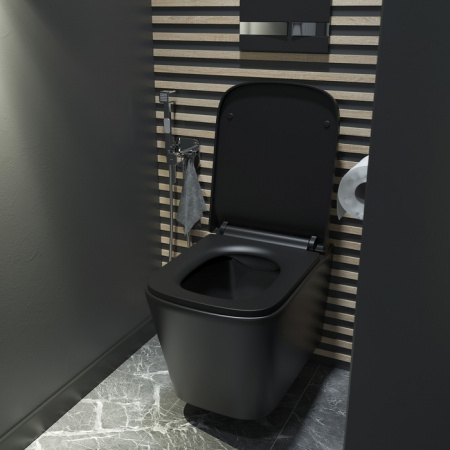 ������ ��������� IDDIS Bild BILR2BMi25 ������������, � �����������