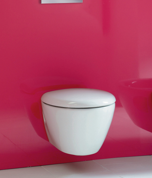       Geberit Duofix Delta 458.124.21.1 3  1    +   Jacob Delafon Presquile E4440