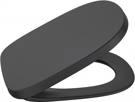 �������� ������ ��������� Roca Beyond 3460B7640 onix � �������-�������� + ������� ����������� ��� �������� Roca DUPLO WC 890090020