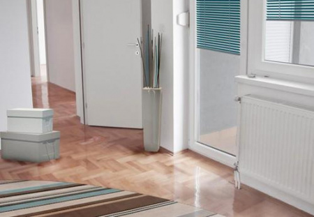 �������� �������� Axis Classic 11 500�1600