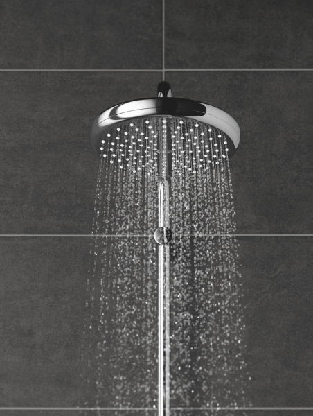 ������� ��� Grohe Tempesta 26409000