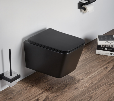 ������ ��������� SantiLine SL-5004MB ������������, � �����������