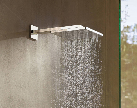������� ��� Hansgrohe Raindance E 26238000