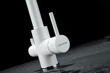  Paulmark Essen Es213011-431TW   ,  