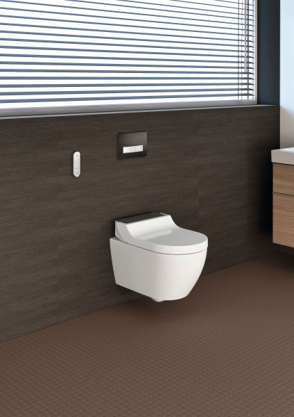 ������ ��������� Geberit AquaClean Tuma Comfort 146.294.SJ.1 ������� ������ ������