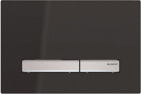 ������ ����� Geberit Sigma 50 115.788.SD.2 ���������� �������� c�����