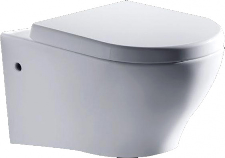 ������ ��������� Bravat Rael C01017UW-A-ENG ������� � �����������