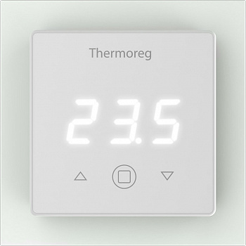  Thermo Thermoreg TI 300
