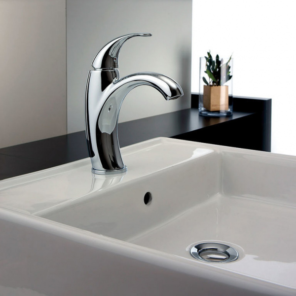 ��������� Paini Fiori F2CR205LMKM ��� ��������