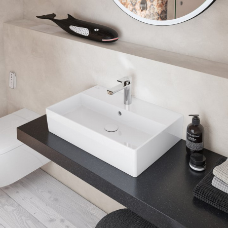 ������ ������ ��� �������� Villeroy & Boch 68080001 ���������� �����
