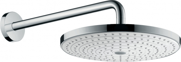 ������� ��� Hansgrohe Raindance Select S 240 2jet 26466000