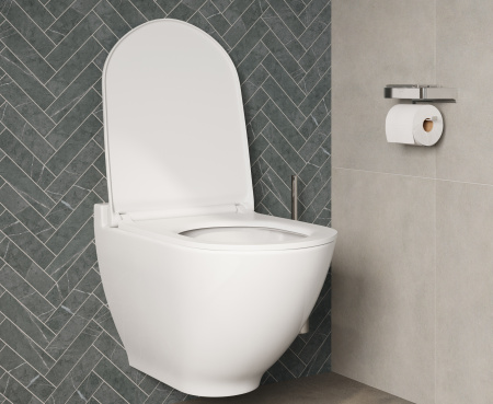 �������� ������ ��������� STWORKI Rotenburg WH52 ������������ + ����������� VitrA 800-2014 � ������ ������� �����