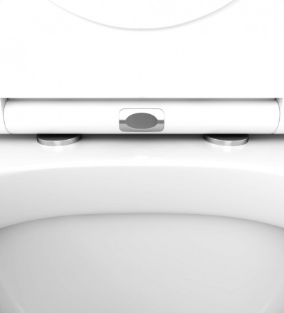 �������� AM.PM Spirit V2.0 IS47001.701738 � �������� ���������