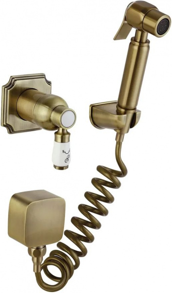   Elghansa Concealed 24C0784-Bronze (Set-49)  ,   