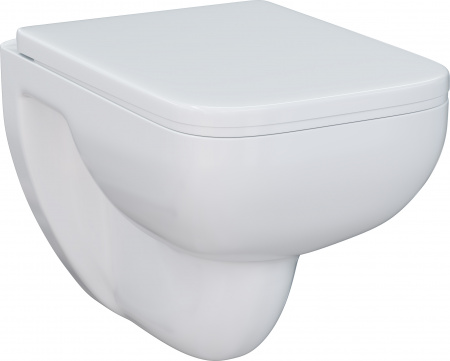 ��������  ������ ��������� AM.PM Tender C45A1739SC + ������� ����������� ��� �������� Geberit Duofix 458.133.21.1 � ������� ����� + ���������� AM.PM �