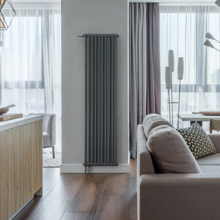 �������� �������� Arbonia 3180/04 N69 ��� 1/2 SF-3 Anthrazit 3-� ���������