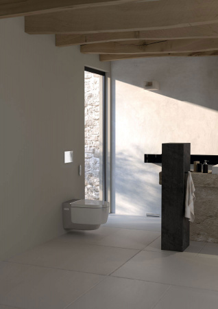 ������ ��������� Geberit AquaClean Mera Classic 146.204.21.1 ��������� ����