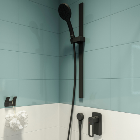  IDDIS Slide SLIBL00i66   ,  