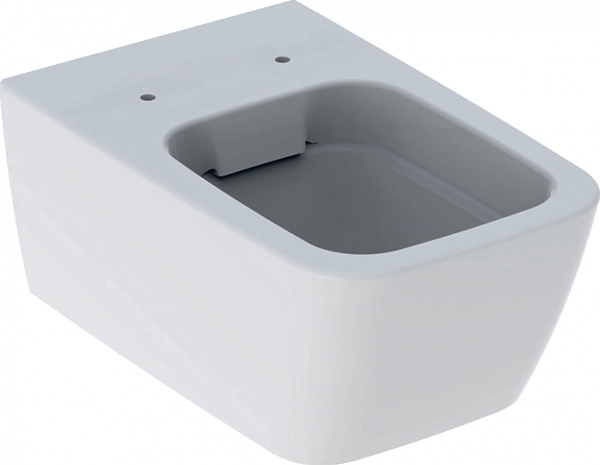 ��������  ���� ��� ������� ���������� Geberit iCon Square 201950000 + ������-������� Geberit iCon Square + ������� ����������� ��� �������� Geberit Duofix ���������� 458.125.11.1