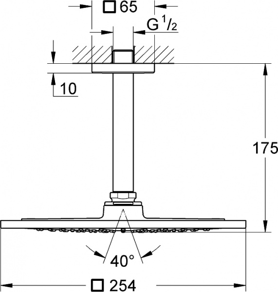������� ��� Grohe Rainshower F-Series 10? 26071000 ����