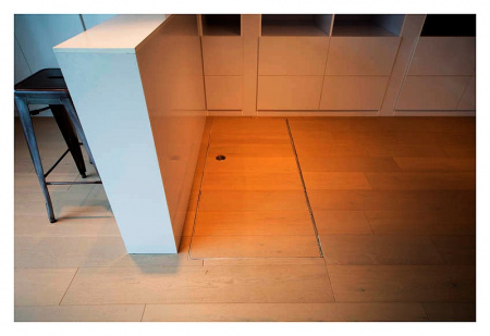 ��� ��������� Revizor ���� �������� 80x80