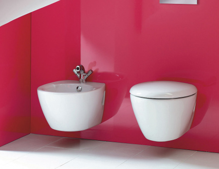 ��������  ������� ����������� ��� �������� Geberit Duofix ���������� 458.125.21.1 4 � 1 � ������� ����� + ������ ��������� Jacob Delafon Presquile E44