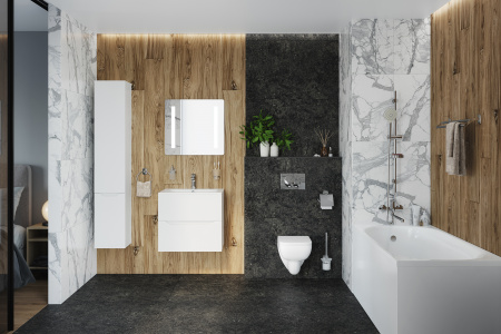 ������ ��������� AM.PM Tender C45A1739SC + ���������� AM.PM �� 30 ���� �������� �� �����������