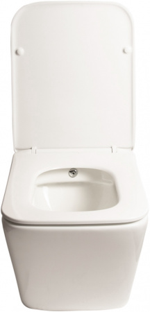 ������ ��������� SantiLine SL-5004SM-BD ������������, � �����������