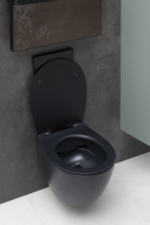 ������ ��������� Allen Brau Fantasy 4.11004.31 ������ �������