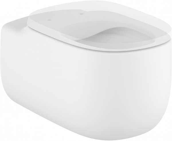 �������� ������ ��������� Roca Beyond 3460B7620 ����� � �������-�������� + ������� ����������� ��� �������� Roca DUPLO WC 890090020