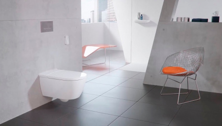 ������ ��������� Villeroy & Boch Viclean V0E100R1 ���������� �����, � �������� ����