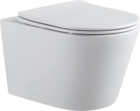 �������� ������ ��������� Aquanet Betto 2.0 W rimless + ������� ����������� ��� �������� Geberit Duofix Delta 458.124.21.1 3 � 1 � ������� �����