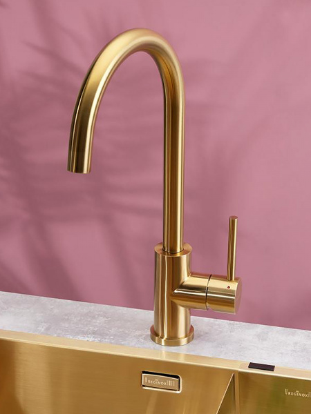 ��������� Reginox Cano PVD Gold ��� �������� �����