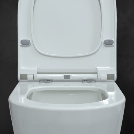 ������ ��������� Berges Wasserhaus Mascon Rimless 082128 � �����������