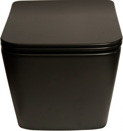 ������ ��������� SantiLine SL-5004MB ������������, � �����������