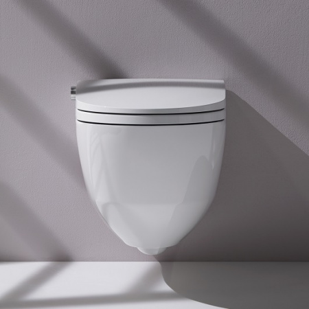 ������ ��������� Laufen Riva 8.2069.1.400.000.1 � ��������� LCC