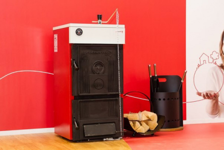 ��������������� ����� Protherm ����� 30 DLO (24 ���)