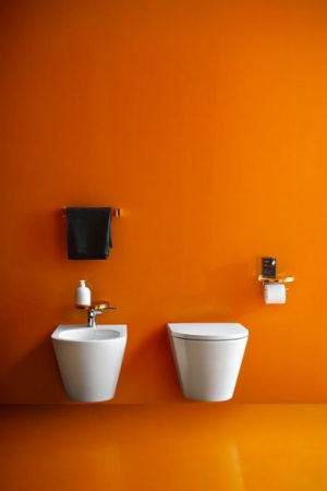 ���� ��������� Laufen Kartell 8.3033.1.000.302.1