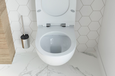 �������� ������ ��������� STWORKI Merlingen HWH55 ������������ + ����������� VitrA 800-2011 � ������ ������� �����