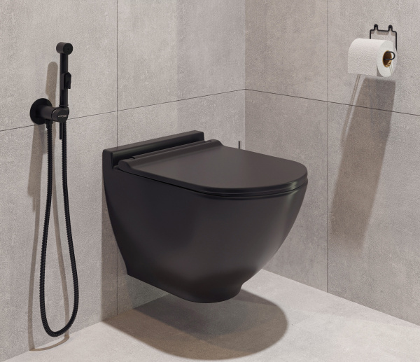 �������� ������ ��������� STWORKI Rotenburg SWH52 ������������ + ����������� VitrA 800-2014 � ������ ������� �����