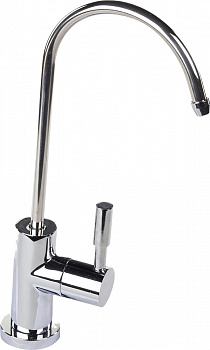 ���� ������ �6