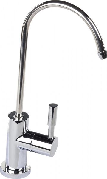 ���� ������ �6