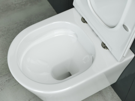 ������ ��������� Ceramica Nova Forma CN3011