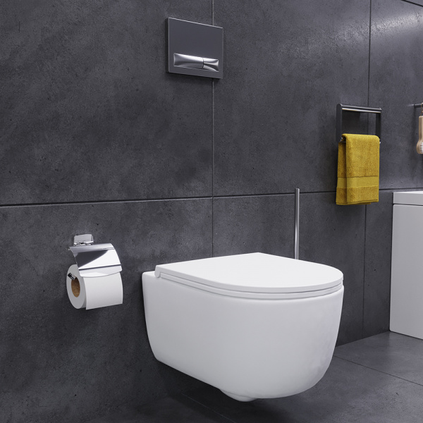 ������ ��������� Damixa Sirius DX86C1700SC � �����������