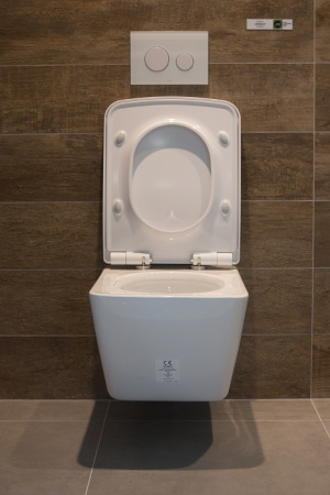 ��������  ������ ��������� Toto SP CW532Y � �������-�������� + ������� ����������� ��� �������� TECE Base NEW � ������� �����