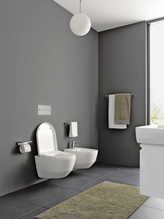 ������ ��������� Laufen Pro 2095.6.000.000.1