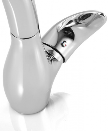  IDDIS Leaf LEASB00I05   