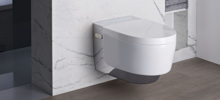 ������ ��������� Geberit AquaClean Mera Comfort 146.214.21.1 � �������� �������� �������, ��������� ����